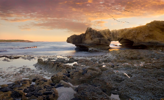 חוף דור הבונים (צילום: shutterstock by Yonatan Stern)