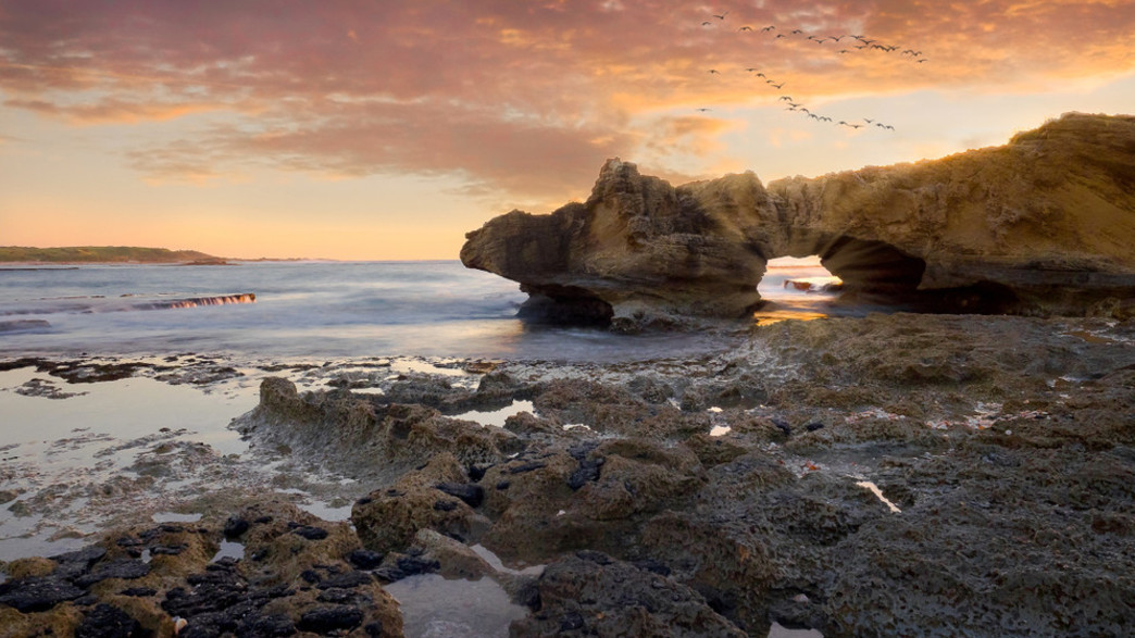 חוף דור הבונים חוף דור הבונים