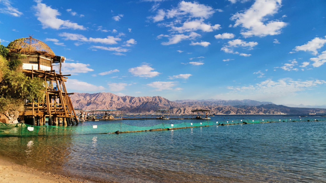 ריף הדולפינים אילת ריף הדולפינים אילת