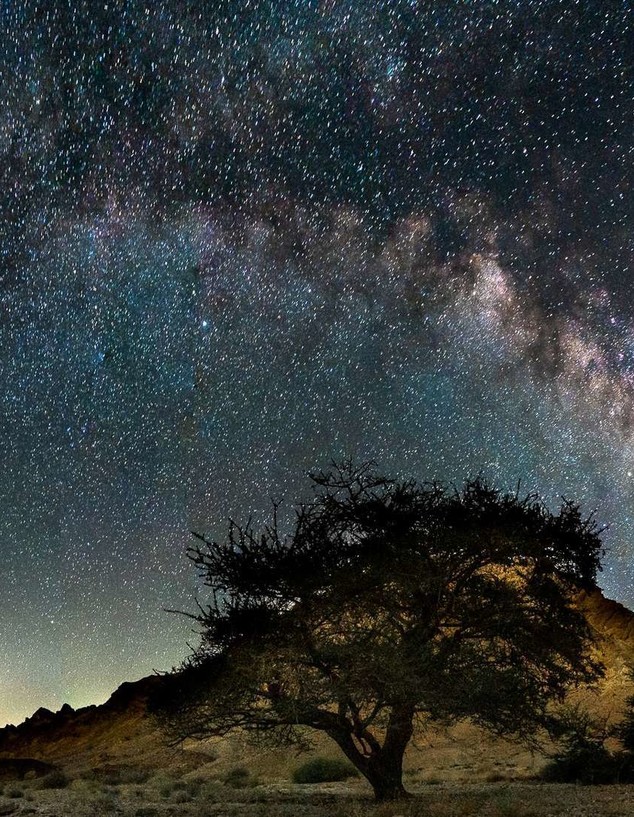 ליל כוכבים (צילום: אלון צנגוט, רשות הטבע והגנים)