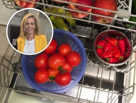 שרון כידון שרון כידון