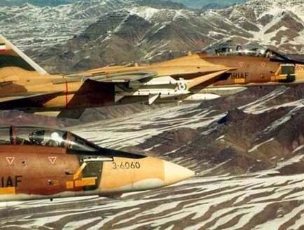 F-14 בשימוש צבא אירן (צילום: www.iranmilitaryforum.net)