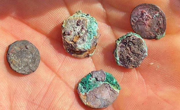 מטבעות נדירים נמצאו בחוף (צילום: אופיר חייט)