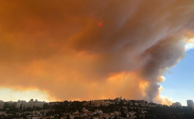 שריפה בהרי ירושלים (צילום: ניצן שם טוב)
