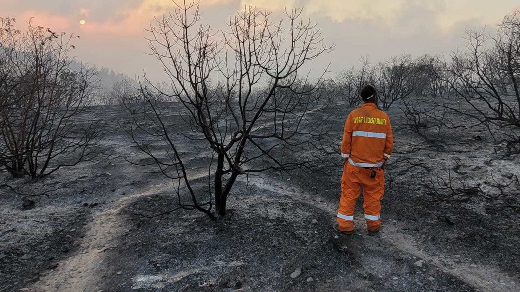 שרפה בהרי ירושלים (צילום: גלעד וייל רשות הטבע והגנים)