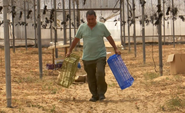 חקלאי העוטף סוגרים את החממות  (צילום: החדשות 12)