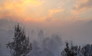 השרפה בהרי ירושלים הבוקר (צילום: אריאל קדם, רט"ג)