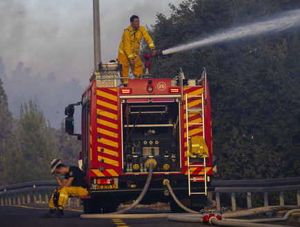 לוחמי האש מנסים לכבות שריפה במושב גבעת יערים (צילום: אוליבר פיטוסי, פלאש/90 )