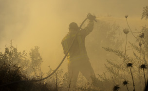 לוחמי האש מנסים לכבות שריפה במושב גבעת יערים (צילום: ‏אוליבייה  פיטוסי, פלאש/90 )
