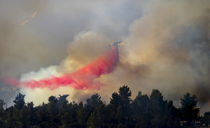לוחמי האש מנסים לכבות שריפה במושב גבעת יערים (צילום: אוליבר פיטוסי, פלאש/90 )