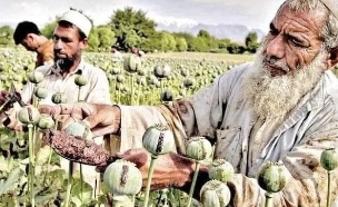 אפגניסטן (צילום: SHAH MARAI/AFP via Getty Images, twitter)