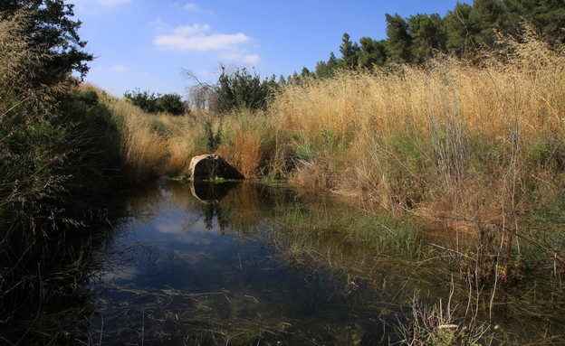 בריכת צאנן (צילום: יעקב שקולניק)