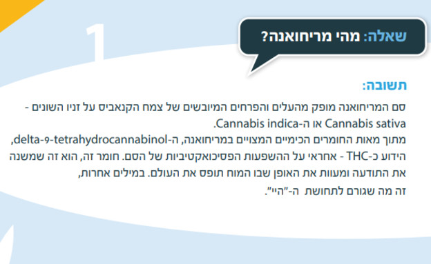 הרשות למלחמה בסמים - שאלות ותשובות (צילום: צילום מסך מאתר "הרשות הלאומית לביטחון קהילתי")
