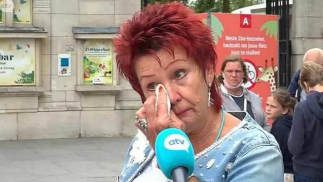 עדי טימרמנס