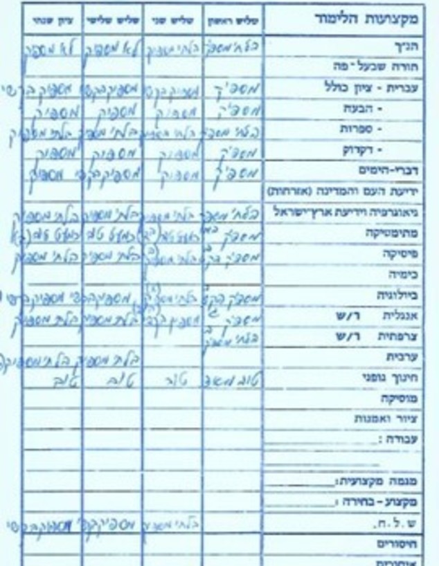 התעודה של נתן גפני (צילום: נתן גפני)