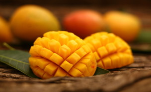 מנגו (צילום: shutterstock by SAM THOMAS A)