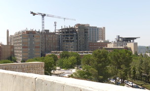 בית החולים הדסה עין כרם (צילום: חדשות 12)