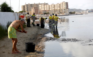 דגים מתים נסחפים לאורך החוף מאר מנור, ספרד (צילום: רויטרס)
