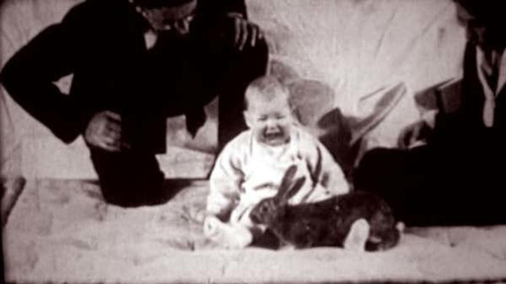 הניסוי על אלברט הקטן