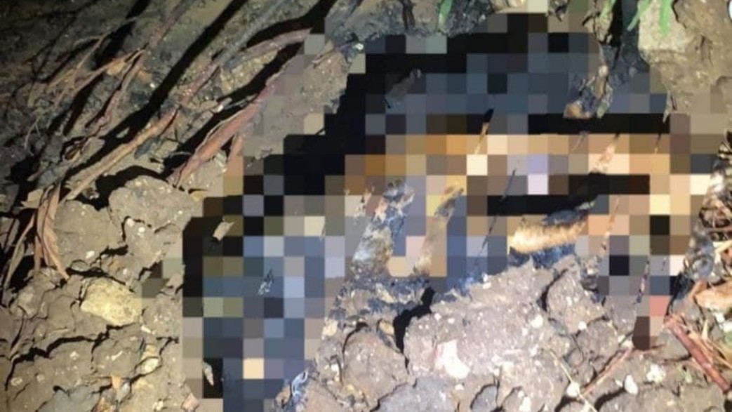 כלב שאותר בבת ים ללא רוח חיים כשרגליו ופיו קשורים כלב שאותר בבת ים ללא רוח חיים כשרגליו ופיו קשורים