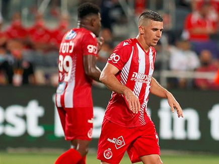 בכורה פושרת של ורד (אלן שיבר)