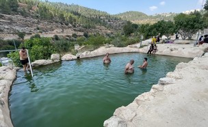 עין חניה (צילום: ארז דגן)