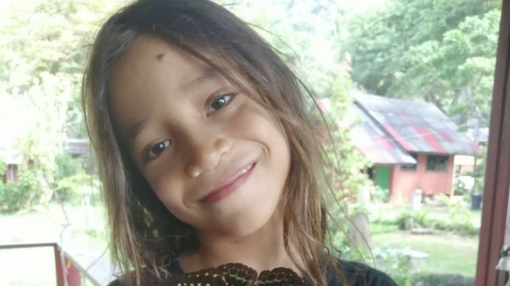 לי ים לוי, בן ה-9 שמת מצריבת מדוזה בתאילנד לי ים לוי, בן ה-9 שמת מצריבת מדוזה בתאילנד