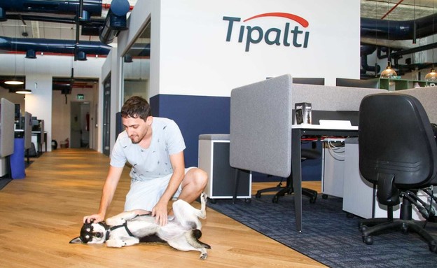 המשרד שאימץ כלבה חרדתית (צילום: Tipalti,  יח