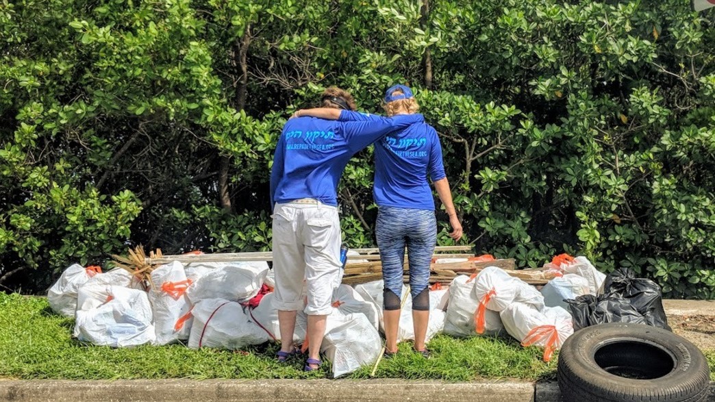 תשליך הפוך תשליך הפוך