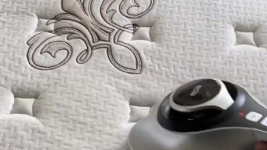 גולש simplysalfinds גולש simplysalfinds