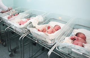 תינוקות (צילום: Anatoly Tiplyashin, Shutterstock)