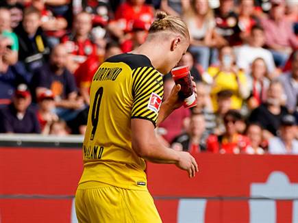בודק אם נשארה בירה (getty)