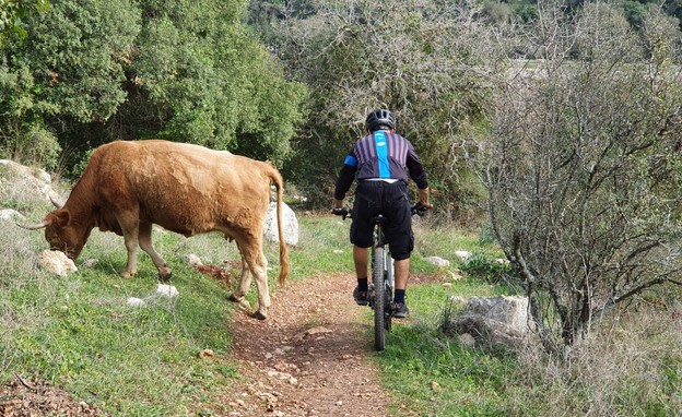 ירון גוטמרק ויואב לביא (צילום: יואב לביא)