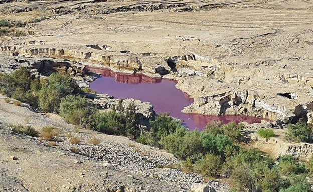 מאגר מים בים המלח הירדני נצבע אדום (צילום: סעיף 27א לחוק זכויות יוצרים)