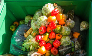 ירקות בפח - בזבוז מזון (צילום: joerngebhardt68, shutterstock)