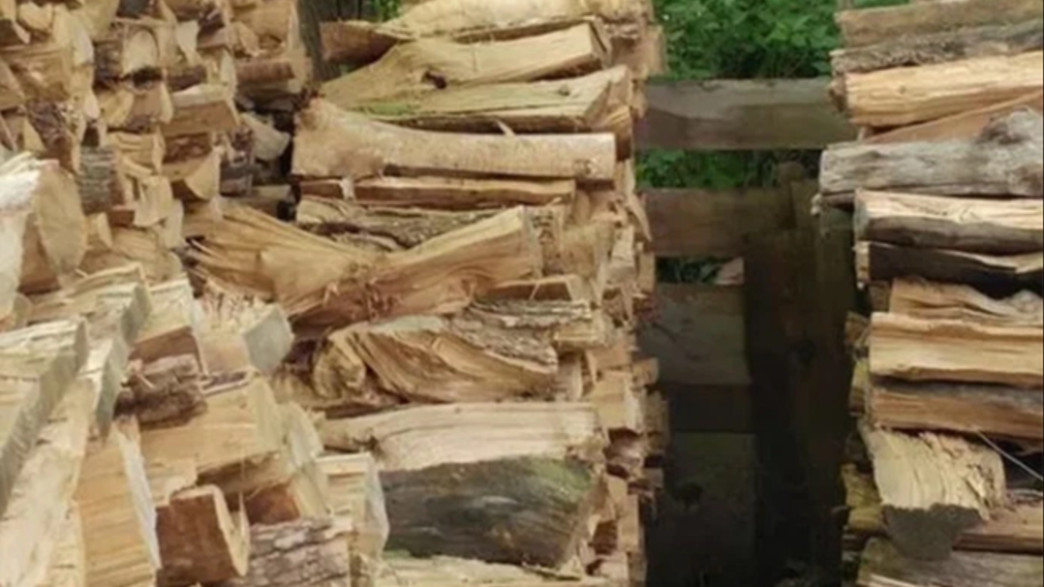 חידת החתול חידת החתול