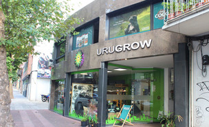 חנות למוצרי קנאביס באורוגוואי (צילום: Ricardo Barata, shutterstock)