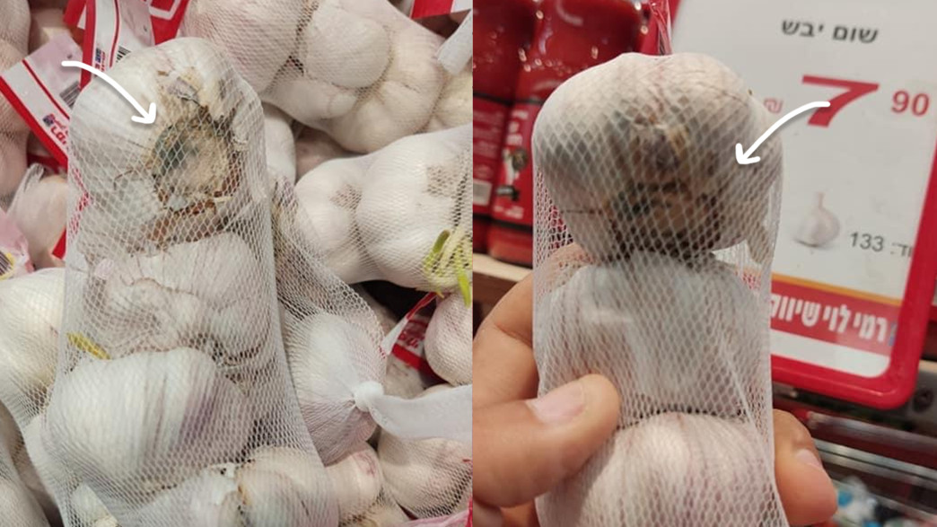 שום עם עובש