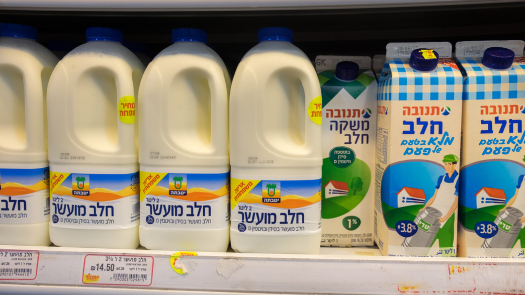חלב (אילוסטרציה: Lerner Vadim, Shutterstock)