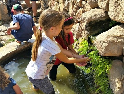 באפס מאמץ: טיולים משפחתיים מומלצים לסתיו
