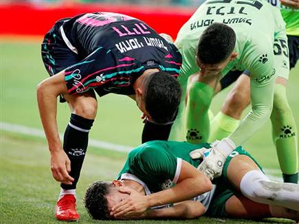 (צילום: אלן שיבר)