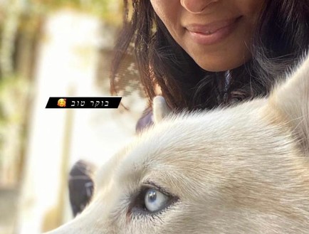 נשארו ביחד? שני צולמה עם הכלב של דני