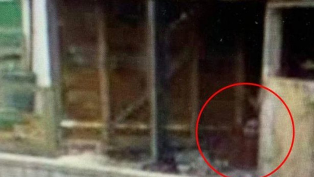 התמונה בגוגל מפות התמונה בגוגל מפות