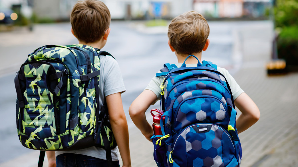 תאומים, אחים