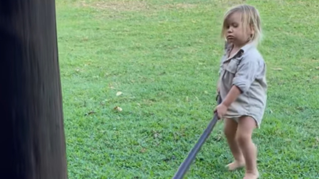 תינוק לוכד נחש