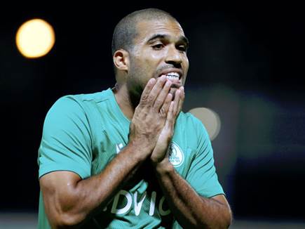 החמצה גדולה. מגבו (אלן שיבר)