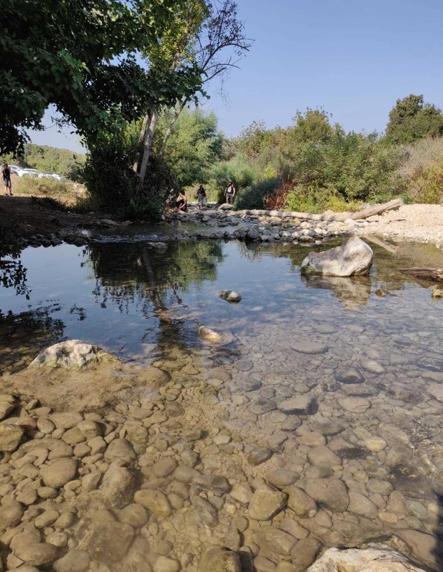 גשר הזיו (צילום: אילן ארנון)