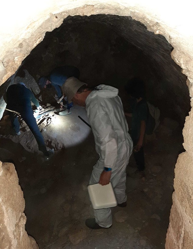 חיפוש קרציות במערה בבתרונות רוחמה (צילום: גל זגרון, המשרד להגנת הסביבה)