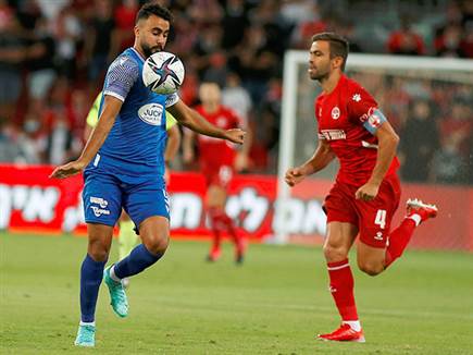 (צילום: אלן שיבר)