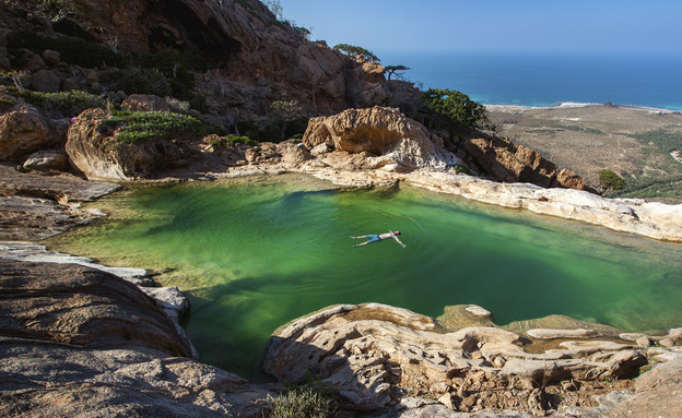 סוקוטרה (צילום: Michail_Vorobyev_2, shutterstock)